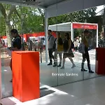 Daire Biennale-pulse *