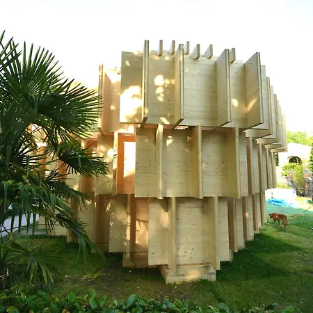Biennale-pulse